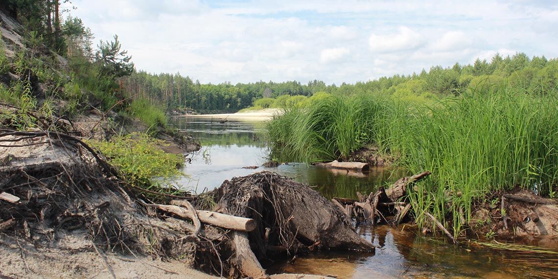 Остановка с отличной природой